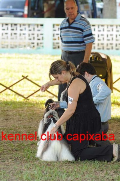 Clique sobre a foto para fechar